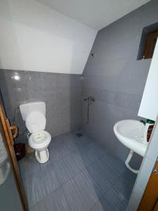 un bagno con un water e un lavandino di Villa Nuovo Monte a Novoberdo