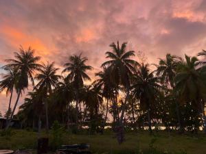 un groupe de palmiers devant un coucher de soleil dans l'établissement Punahere lodge Ohotu, à Rangiroa