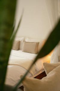 En eller flere senge i et værelse på Big Tree Boutique Hotel