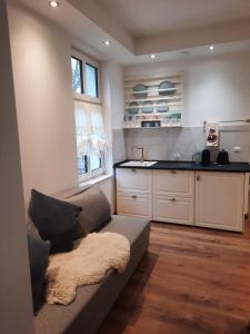 a living room with a couch and a kitchen at Cozy Zdrój in Lądek-Zdrój