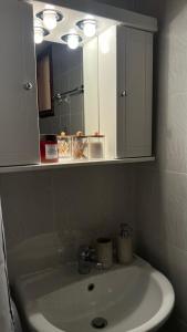 a bathroom sink with a mirror and a white sink at Valley Parnass in Arachova