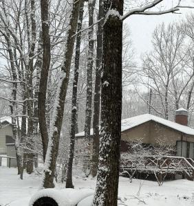 森の中で仲間や家族とゆっくり過ごせる温泉付コテージ 会員制別荘地で広大なプライベート空間 ペット可 那須高原りんどうハウス v zimě
