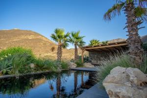een zwembad in de woestijn met palmbomen en een gebouw bij Luxury Villa Delphinus - AllParos Villas in Paraspóri +98 foto's