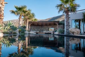 een zwembad met palmbomen en een huis bij Luxury Villa Delphinus - AllParos Villas in Paraspóri