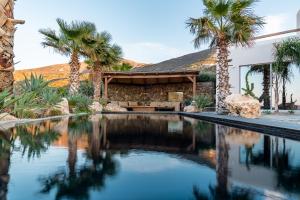 een zwembad met palmbomen en een huis bij Luxury Villa Delphinus - AllParos Villas in Paraspóri