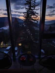 Příroda nedaleko apartmánu