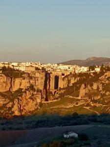 Naturlandskabet i nærheden af lejligheden