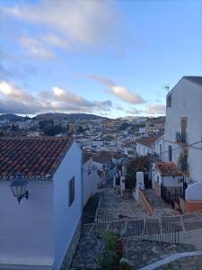 Naturlandskabet i nærheden af lejligheden