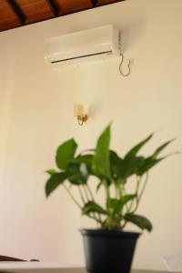 a plant in a pot next to a wall with a light at Legacy Weligama - 8 min to Weligama Beach in Weligama