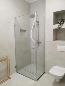 een douchecabine in een badkamer met een toilet bij River Apartman 1 in Odorheiu Secuiesc
