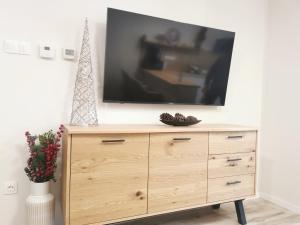 een televisie op een houten dressoir in een kamer bij River Apartman 1 in Odorheiu Secuiesc