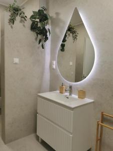 een badkamer met een wastafel en een spiegel bij River Apartman 1 in Odorheiu Secuiesc