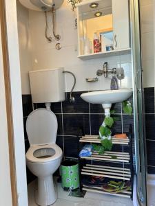 ein Badezimmer mit Toilette und Waschbecken in der Unterkunft Kneginje Ljubice apartment in Belgrad + 12 Fotos