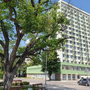 un grande edificio con un albero di fronte di Yantra Tower Studio Maya a Gabrovo