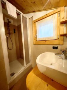 ein Badezimmer mit Waschbecken und Dusche in der Unterkunft Hotel Ambassador Bormio in Bormio