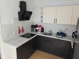 een keuken met zwarte kasten en een spoelbak bij Ferien- und Gästewohnung mit AC in Osterburg Siedlung