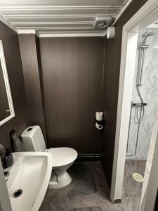 Un baño con inodoro, lavabo y ducha. en Good Apartment's Sälen Transtrand, en Transtrand