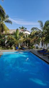 坦加拉隐居山林小屋的房子前面的一个蓝色大游泳池