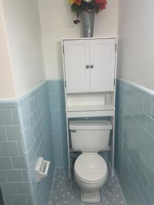 a bathroom with a toilet with a cabinet and blue tiles at Honey Home in Danville