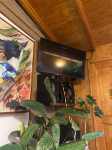 a television hanging on a wall with a plant at Habitación amplia con cama de dos plazas mas una cama individual y amplio baño exclusivo in Puerto Montt