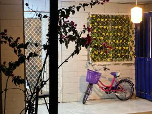 Jízda na kole v ubytování Maamuus Farmhouse nebo okolí