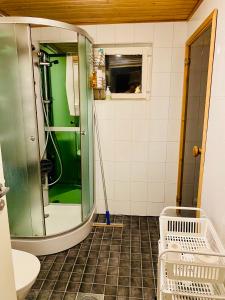 bagno con doccia e parete verde di Villa Oinas a Tervola