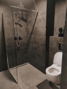 a shower stall with a toilet in a bathroom at Klonowa 65 z garażem podziemnym in Kielce +5 photos