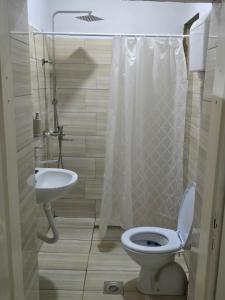 une salle de bains avec toilettes et lavabo dans l'établissement Apartman LENA, à Odžaci 2 autres photos