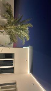 um frigorífico branco num quarto com uma planta em RIVA CHALEt em Badīyah