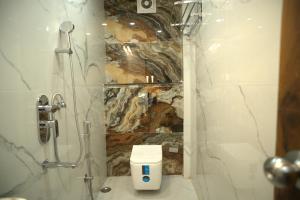 Hotel Sonali Golden Palace في بوهفانيشفار: حمام مع دش ومرحاض بداخله