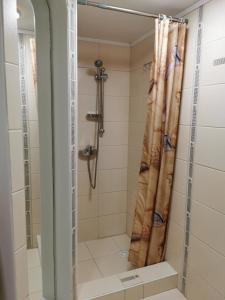 een badkamer met een douche met een douchegordijn bij Jõe House in Valga