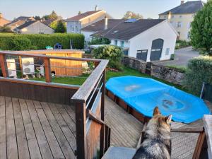 een hond die op een terras zit en uitkijkt op een zwembad bij La Gaillote d'Or in Villers-la-Chèvre