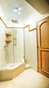 a shower with a glass door in a bathroom at Hotel el kaoba in Cabarete +31 photos