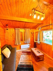 een woonkamer met een bank en een tafel bij Eden Natural Resort - Transalpina in Căpîlna