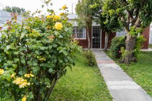 En have udenfor Casa cerca del centro luminosa y tranquila con patio