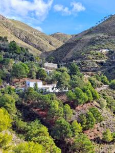 Naturlandskabet i nærheden af feriehuset