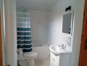 a white bathroom with a toilet and a sink at Loft Central in Coihaique