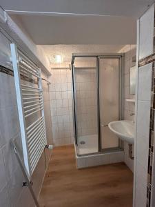 ein Badezimmer mit Dusche und Waschbecken in der Unterkunft Schwarzwaldhus Tannenblick in Todtmoos