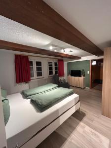 ein Schlafzimmer mit einem großen Bett in einem Zimmer in der Unterkunft Schwarzwaldhus Tannenblick in Todtmoos