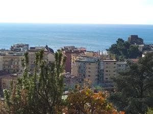 een stad met gebouwen en de oceaan op de achtergrond bij Le ginestre in Salerno
