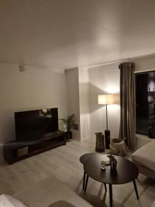 Et tv og/eller underholdning på Senja Laukhella