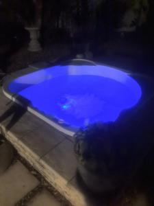 Swimmingpoolen hos eller tæt på 22 on BREEZAND