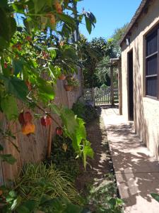 En have udenfor El Dormilon 2