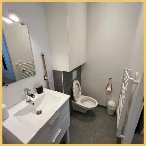 een badkamer met een witte wastafel en een toilet bij Appartement St Genis Laval Hyper centre in Saint-Genis-Laval