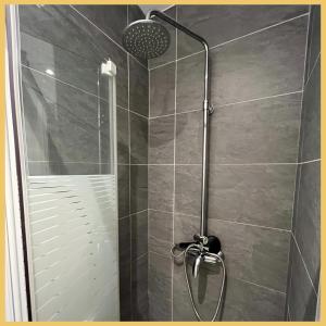 een douche met een glazen deur in een badkamer bij Appartement St Genis Laval Hyper centre in Saint-Genis-Laval