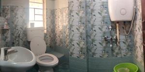 ein Badezimmer mit Toilette und Waschbecken in der Unterkunft Rumdali Homestay NX in Darjeeling