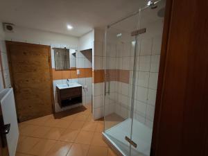 une salle de bain avec douche et lavabo dans l'établissement Apartmán Bára, à Tanvald 1 autre photo