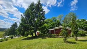 een huis op een heuvel met bomen en een veld bij Ferienhaus Beerberg in Suhl +10 foto's