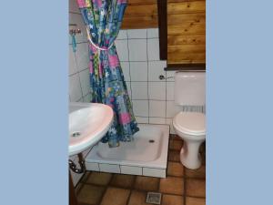 a bathroom with a sink and a toilet at Charmantes Ferienhaus in Skigebietsnaehe in Schmallenberg +27 photos