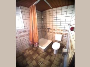 a small bathroom with a toilet and a shower at Geraeumiges Apartment mit privater Terrasse in Schmallenberg